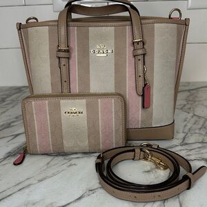 Coach Women's Beige and Pink Striped Satchel